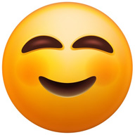 진단성공